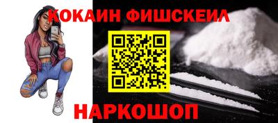 спиды Моздок