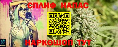 спиды Моздок