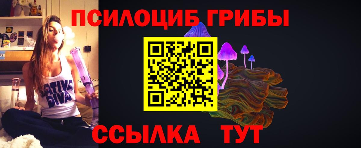 наркошоп  Вход с VPN  Псилоцибиновые грибы прущие грибы  Заречный  Псилоцибиновые грибы мухоморы 