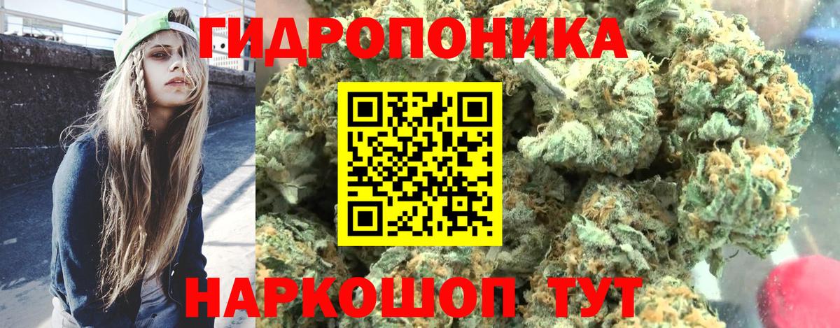 Бошки Шишки Ganja  Канабис гибрид  Вход с VPN  Конопля план  Каннабис SATIVA & INDICA  Заречный 